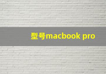 型号macbook pro